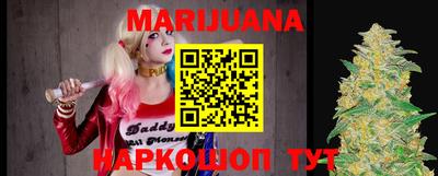 индика Мариинск